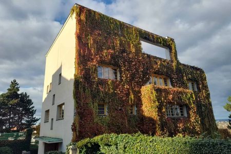 IMG_20251103_140320252_HDR